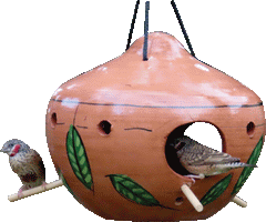 Calabash Seed Feeder