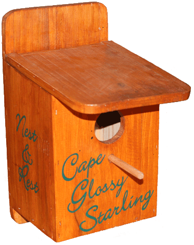 Cape Glossy Starling Nest Box