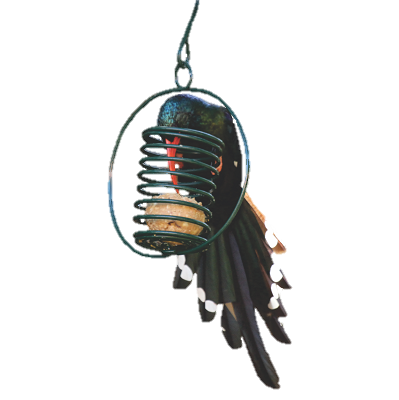 Clever Ring Suet Ball Feeder