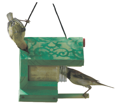 Bird-Grub-in-a-Tub Feeder