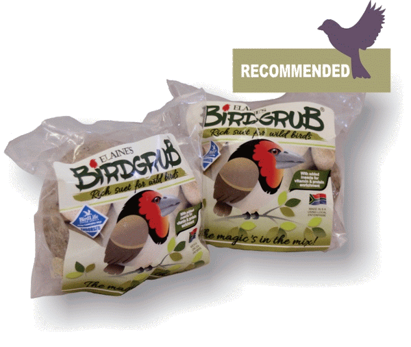 Bird Grub Suet Balls