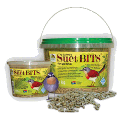 Bird Grub Suet Bits