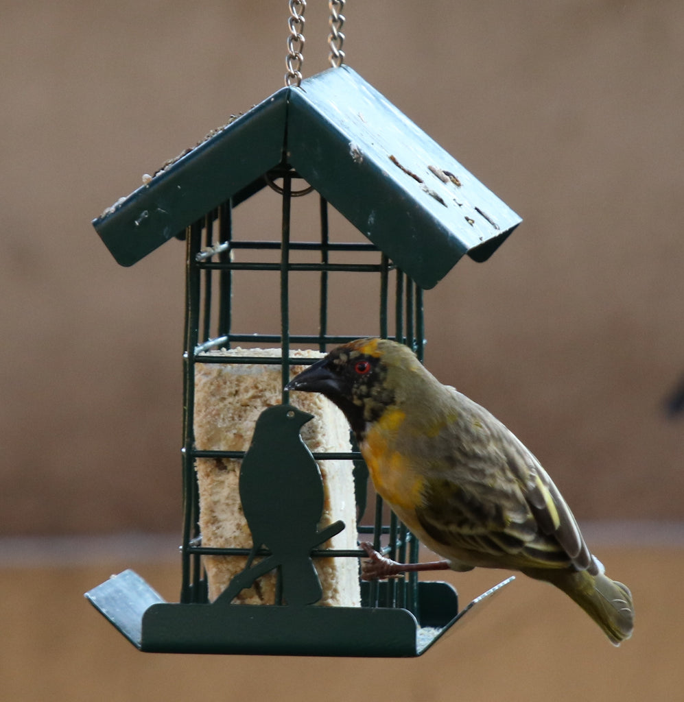 The Weather Vane