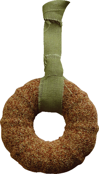 Seed Wreath