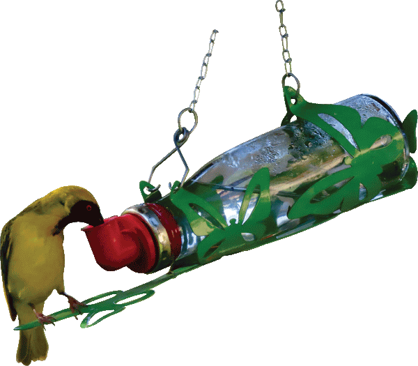 Passions Nectar Feeder Series