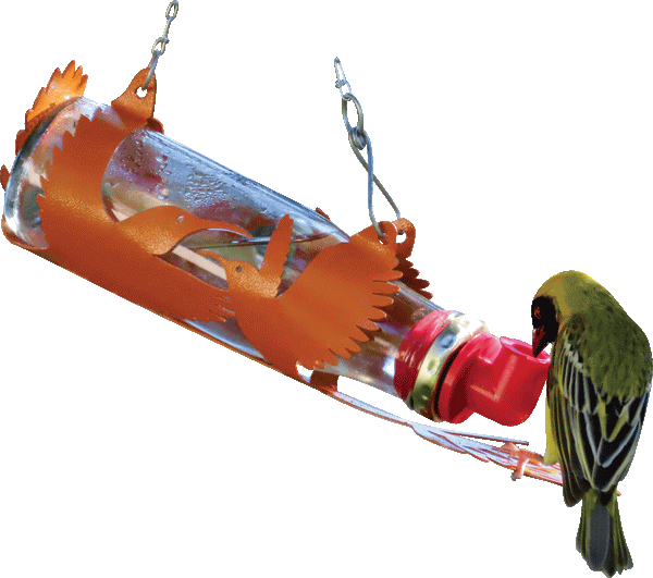 Passions Nectar Feeder Series