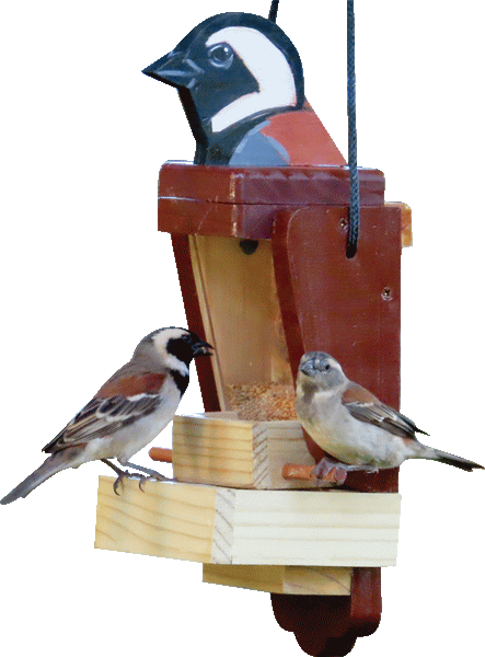 Funky Flock Seed Feeders