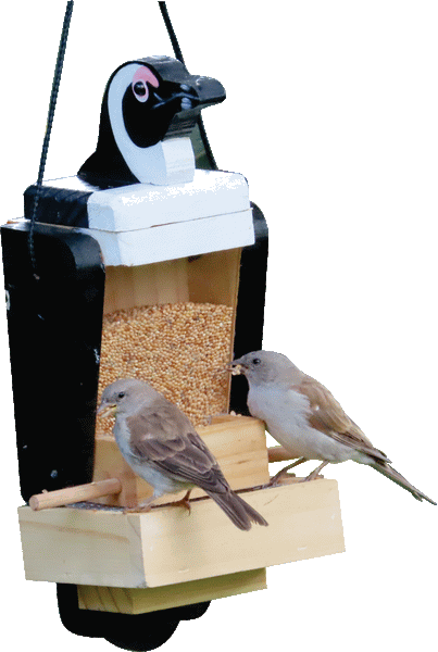 Funky Flock Seed Feeders