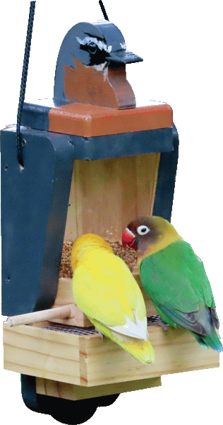 Funky Flock Seed Feeders