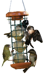Mini Ball Tower Feeder (Terracotta)
