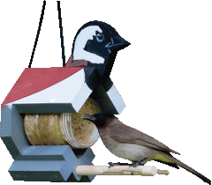Bird-Grub-in-a-Tub Feeder