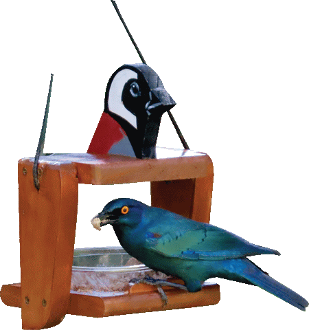 Mossie Kos Suet Feeder
