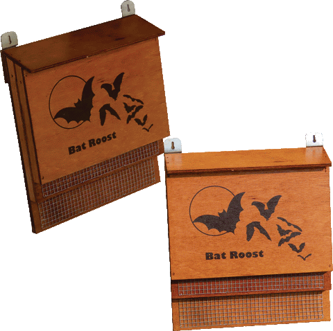 Bat Roost No 1