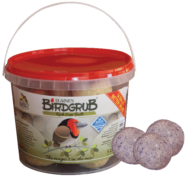 Mini Suet Ball Bucket