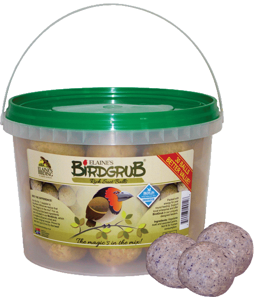 Mini Suet Ball Bucket