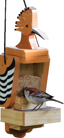 Funky Flock Seed Feeders
