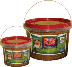 Nutty Putty Pudding