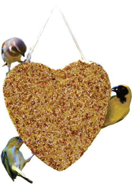 Large Seed Heart