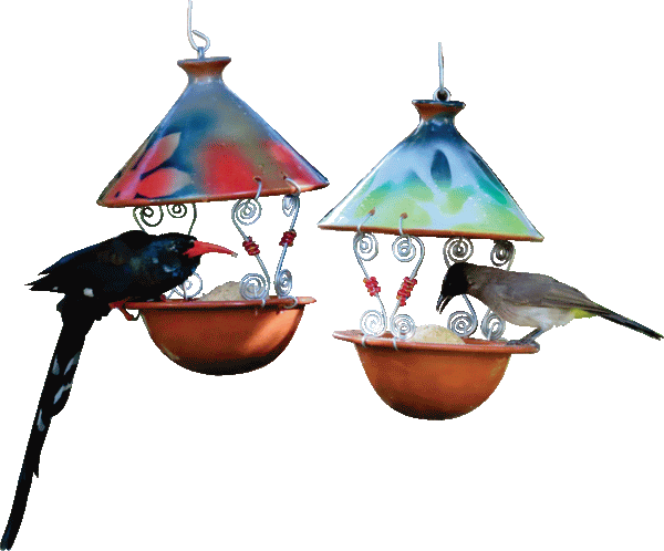 Terracotta Suet Feeder