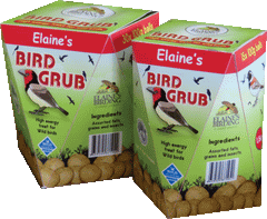 Bird Grub Mini Suet Balls Eco Pack
