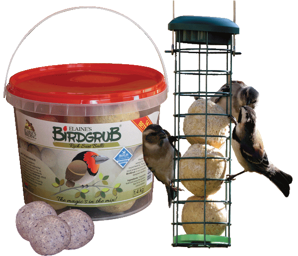 Mini Suet Ball Bucket