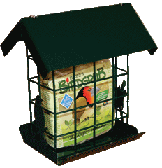 Suet Slab Holder