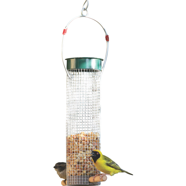 Peanut Feeder