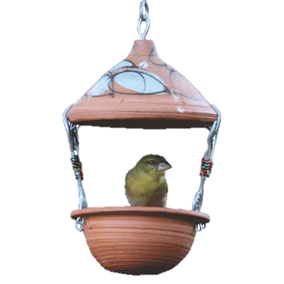 Terracotta Suet Feeder