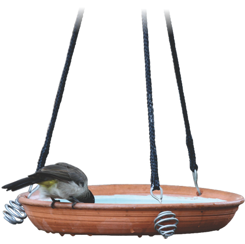 Terracotta Bird Bath